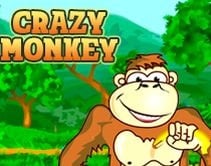 Crazy Monkey