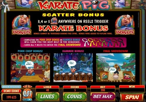 Автомат Karate Pig - правила бонусных игр Правила бонусных игр в автомате Karate Pig