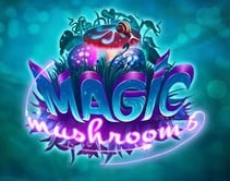 Magic Mushrooms Magic Mushrooms