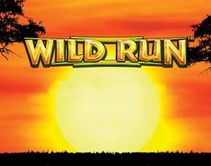 Wild Run Wild Run