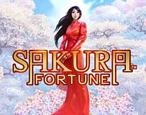 Sakura Fortune Sakura Fortune