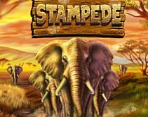 Stampede Stampede